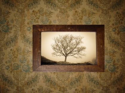 Paper-Photo-creepy-tree